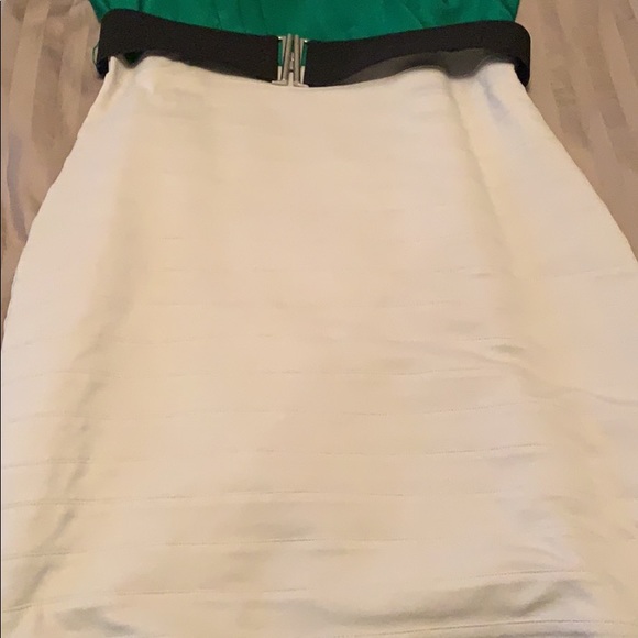 Express Dress - Picture 3 of 3